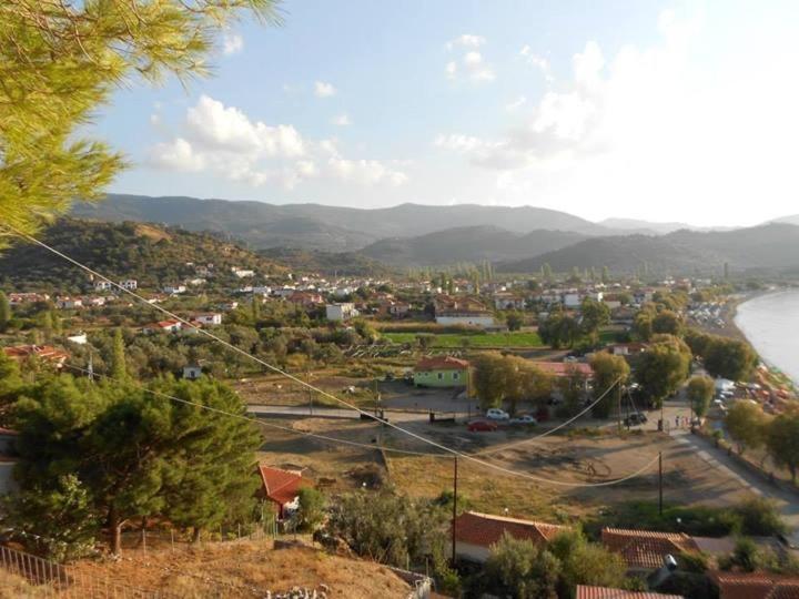 Anaxos Hotel Bagian luar foto
